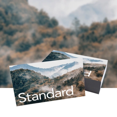 Standard Business Card